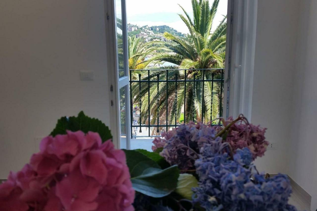 Blurapallo Buitenkant foto