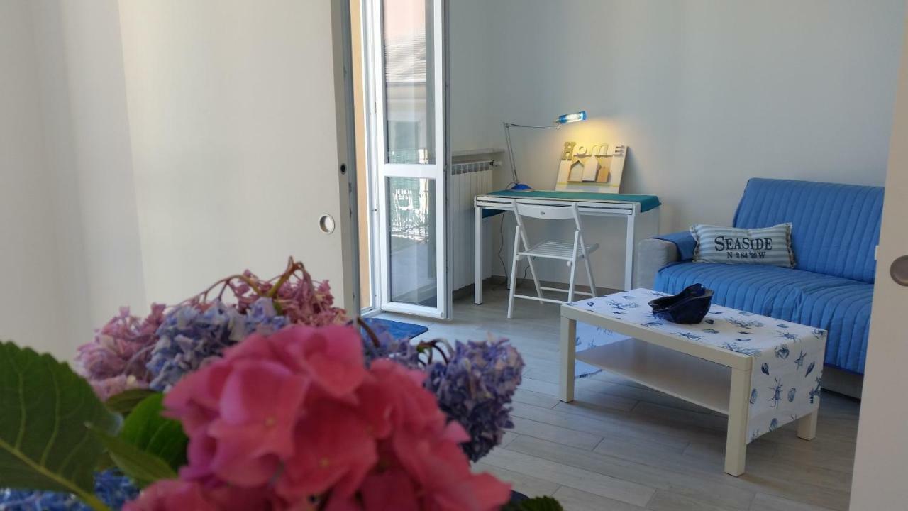 Blurapallo Buitenkant foto